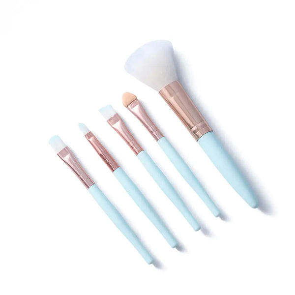 5pcs makeup brush beauty tools makeup Introducing our Beginner Beauty.